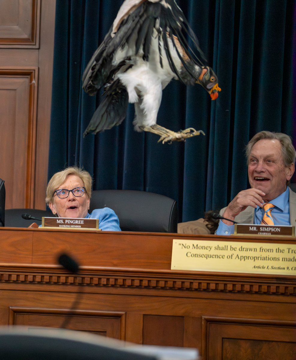 Congresswoman Chellie Pingree 🇺🇸🇺🇦 tweet media