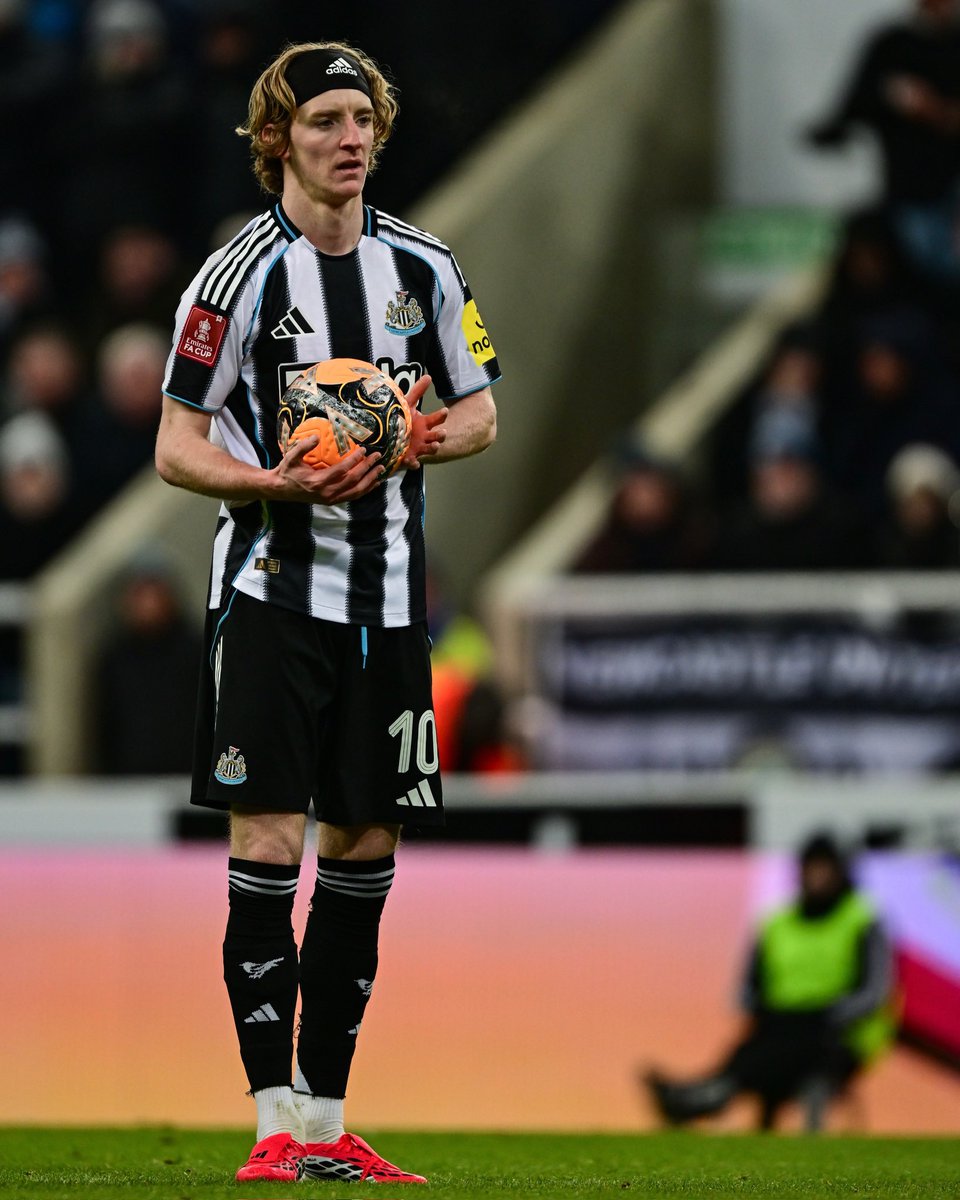 FC Bayern News tweet media