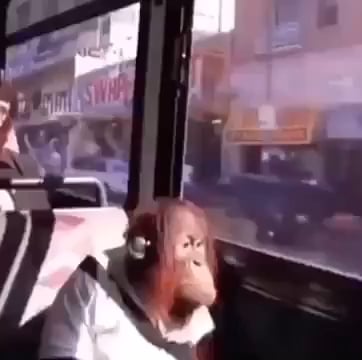 Verdades Py tweet media