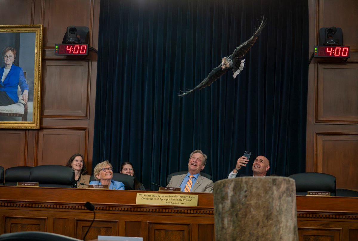 Congresswoman Chellie Pingree 🇺🇸🇺🇦 tweet media