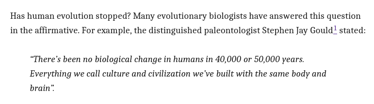 Siberian fox🔸 tweet media