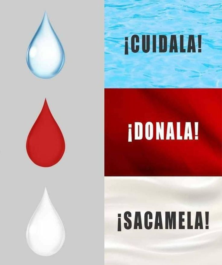 RakkunVT 🦝🍀 tweet media