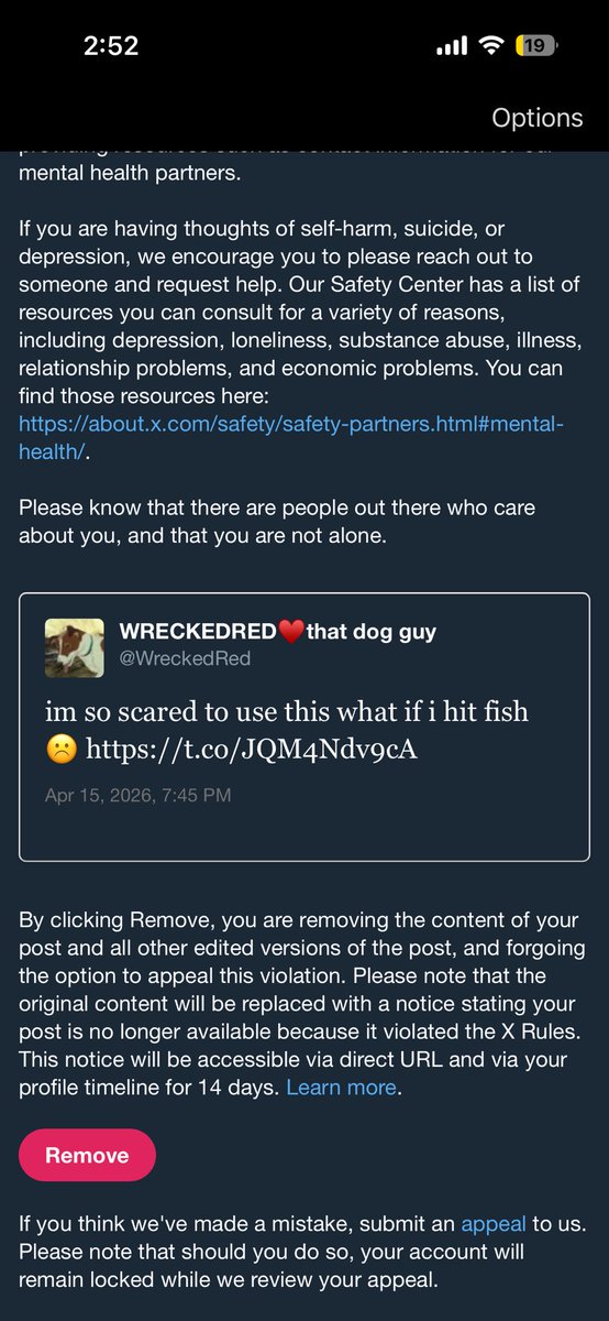 WRECKEDRED♥️that dog guy tweet media