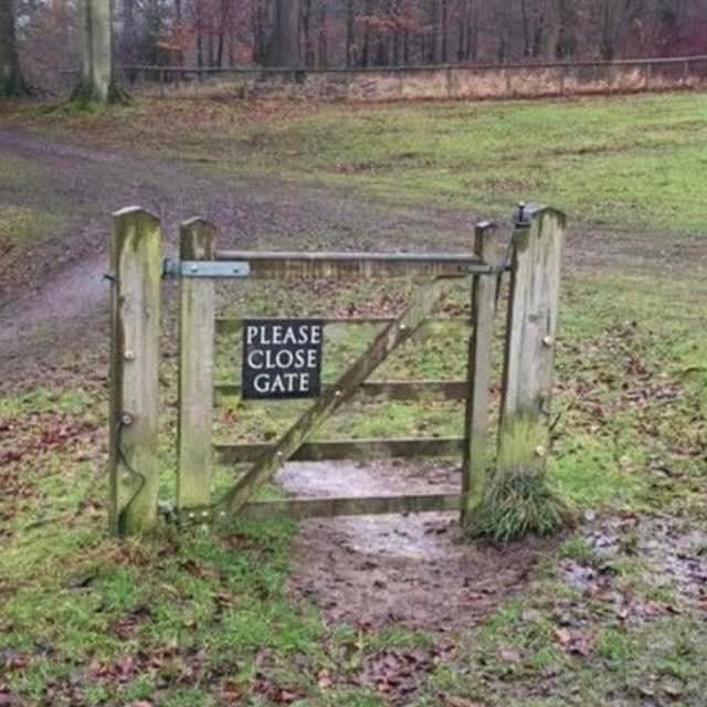 Stacy Ewell tweet media