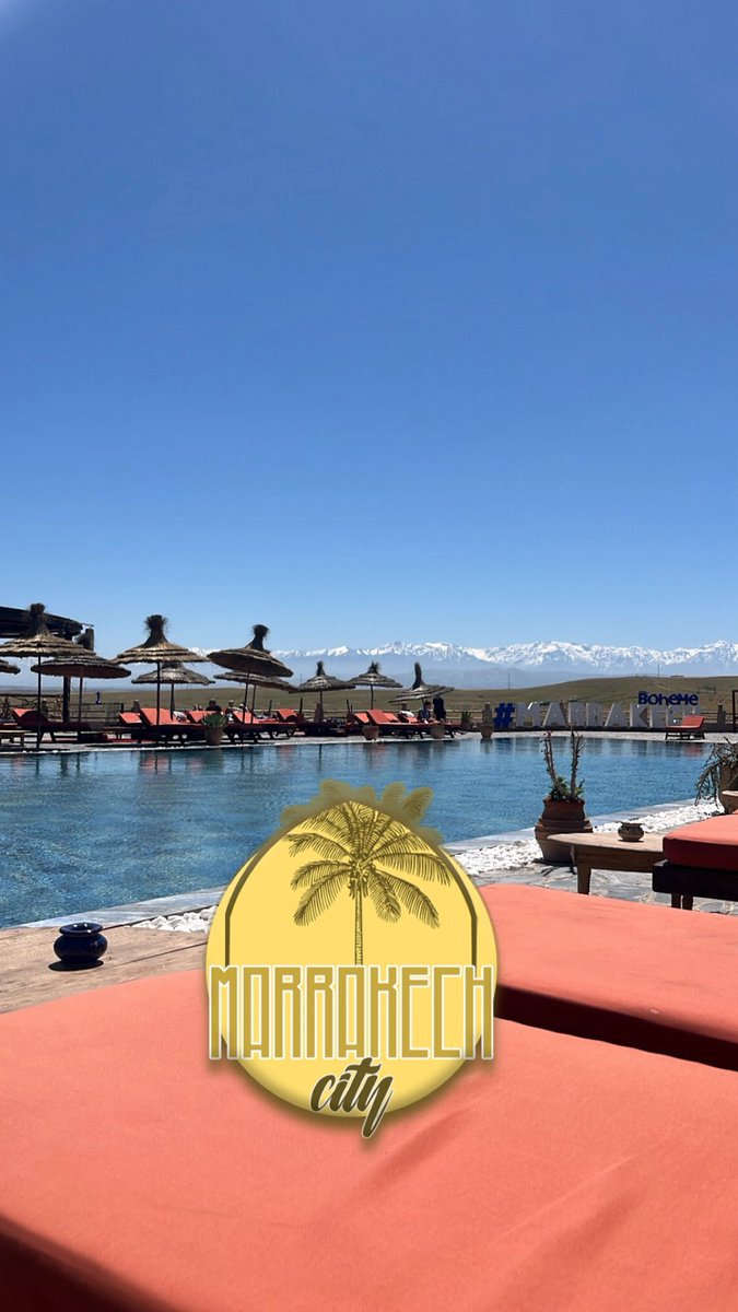 didi🇳🇱 tweet media