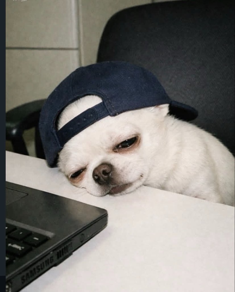 ImamWeb3.somi tweet media