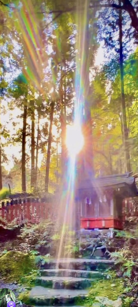 世界が平和になりますように
世界が愛で満ちますように
世界が光で満ちますように
#🇺🇦 
#イランアメリカ 
#ミャンマータリバンクルド人中国 
#パレスチナイスラエル