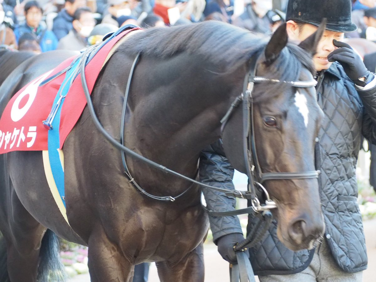 けーさん☆聖奈！ tweet media