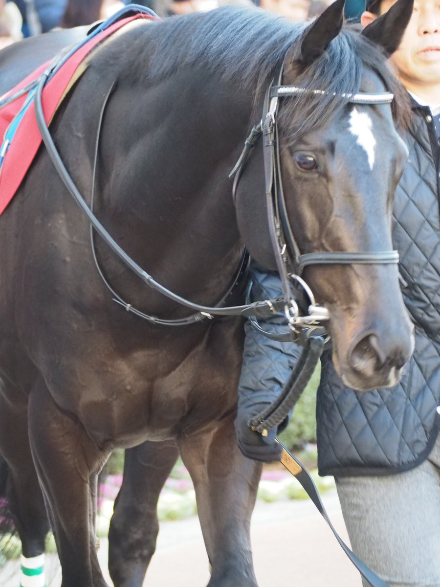 けーさん☆聖奈！ tweet media