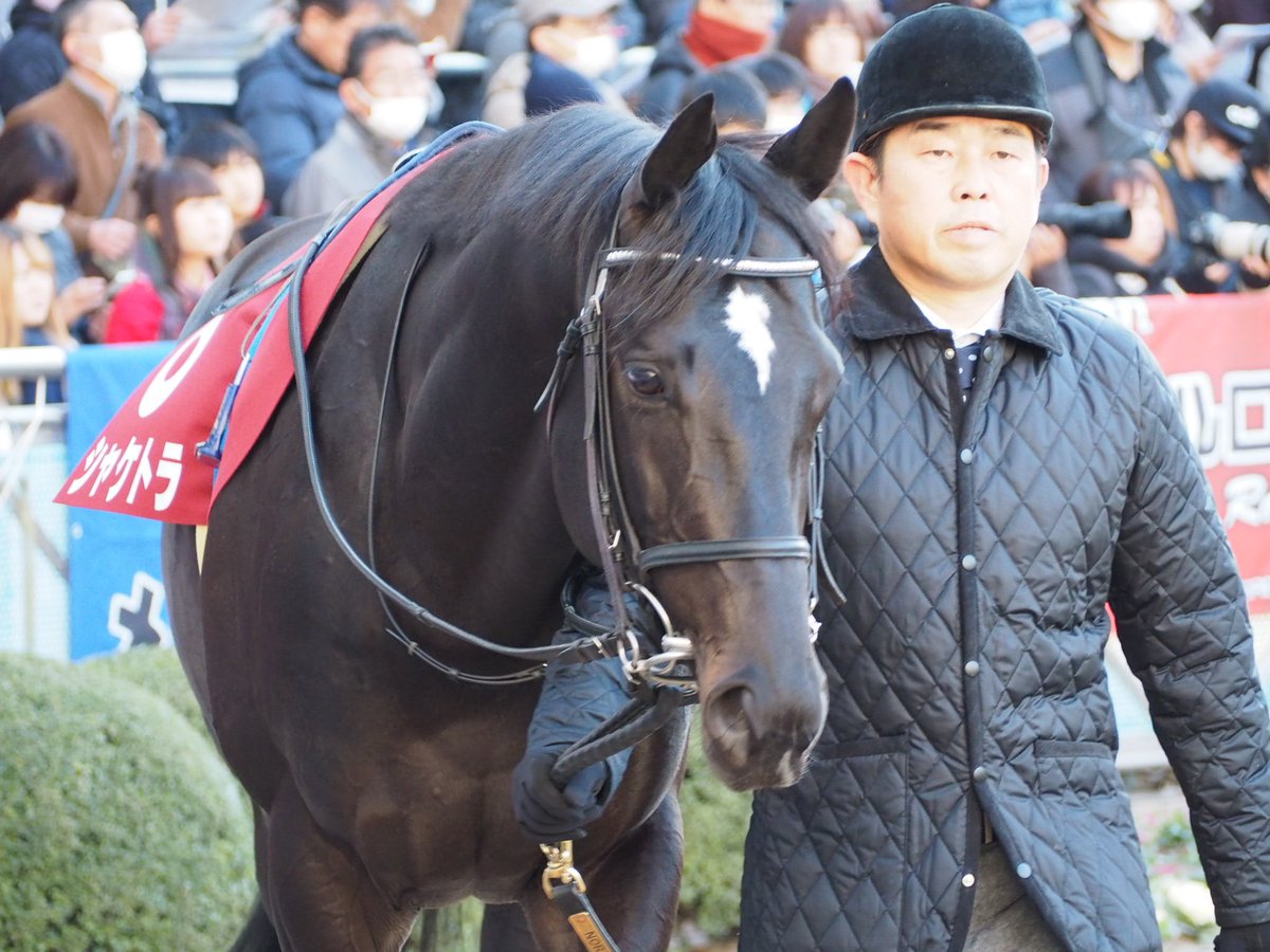 けーさん☆聖奈！ tweet media