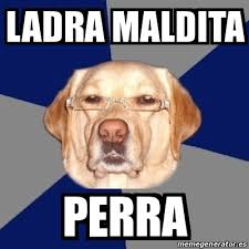 Fernando Vision tweet media