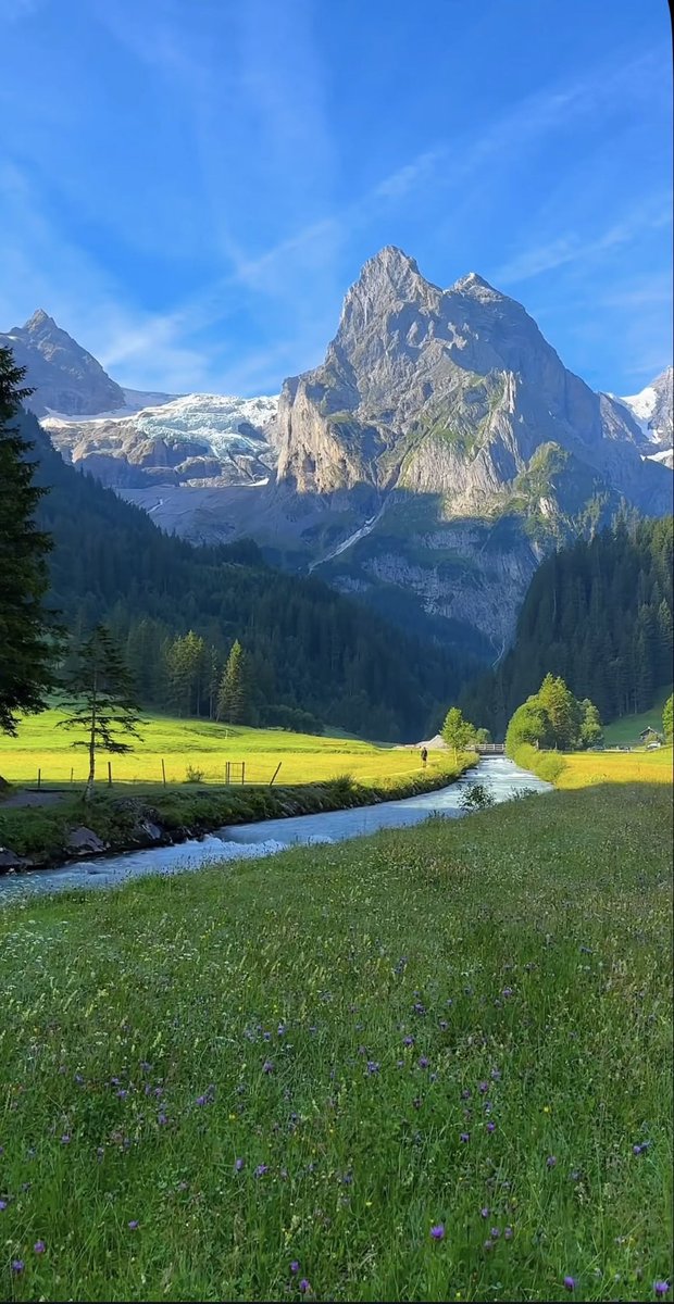 Purely Green tweet media