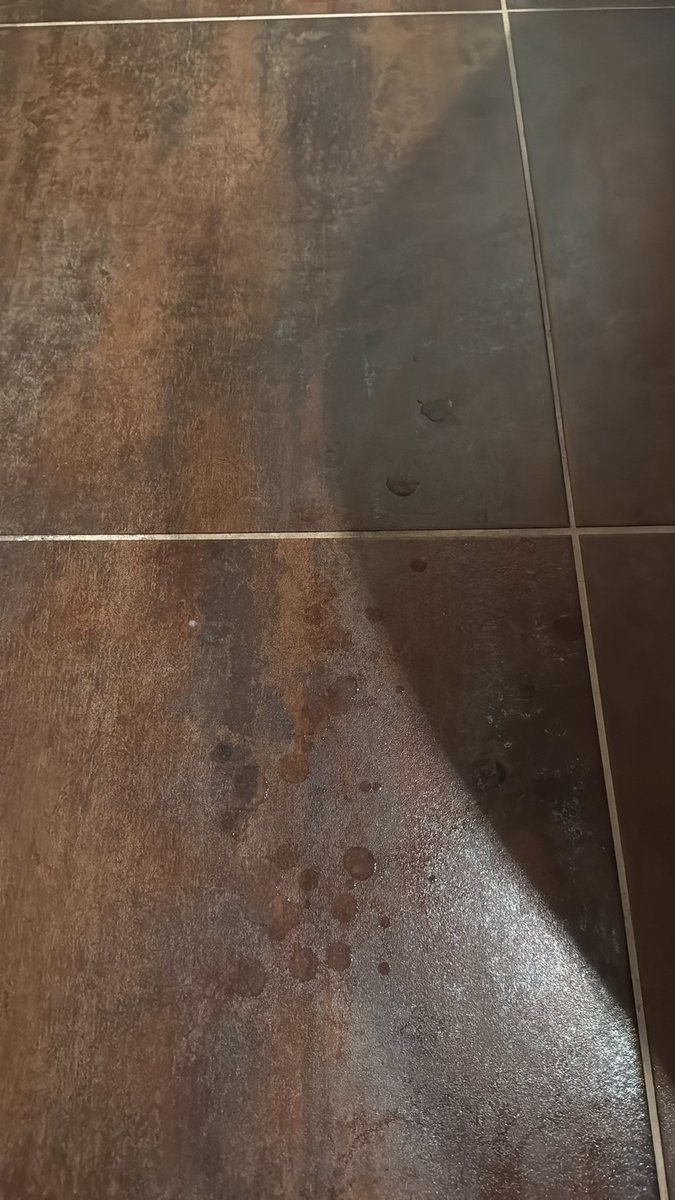 Yanis6981's tweet photo. Qui a envie de lèche le sol ? 💦💦🤭 https://t.co/8l3mjViNBf