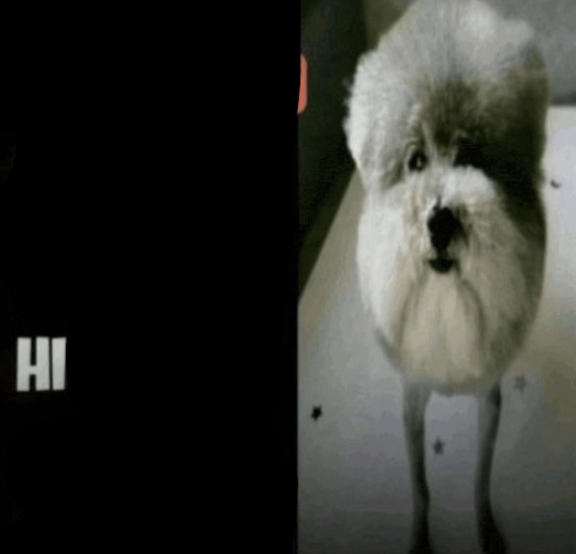 E D. Awg tweet media