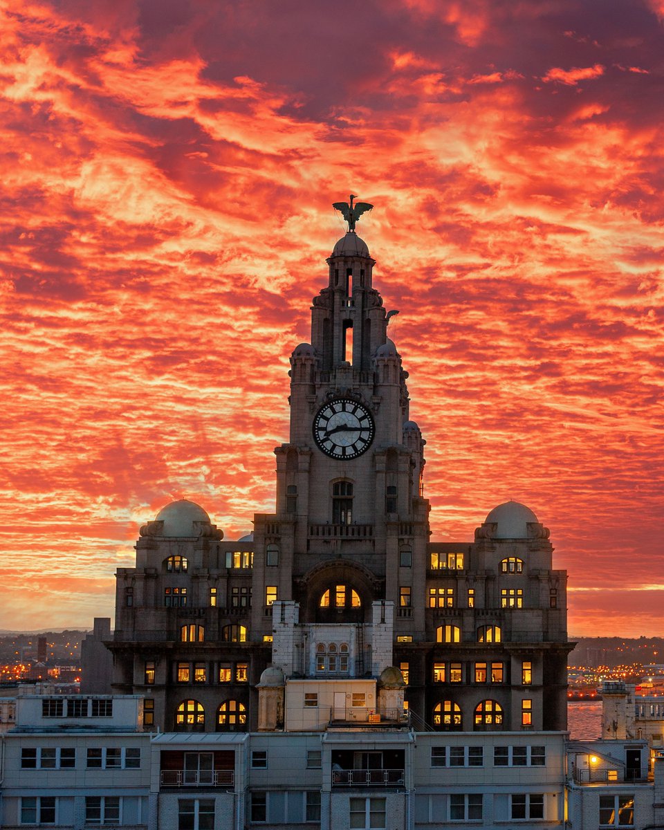 Liverpool Vista tweet media