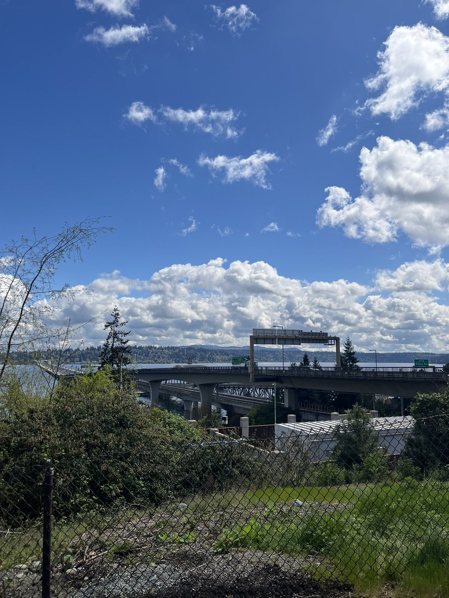 rayawyd's tweet image. #mental #j #walk