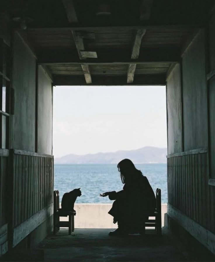 𝕭𝖎𝖑𝖎𝖗 𝕶𝖎𝖘̧𝖎 tweet media