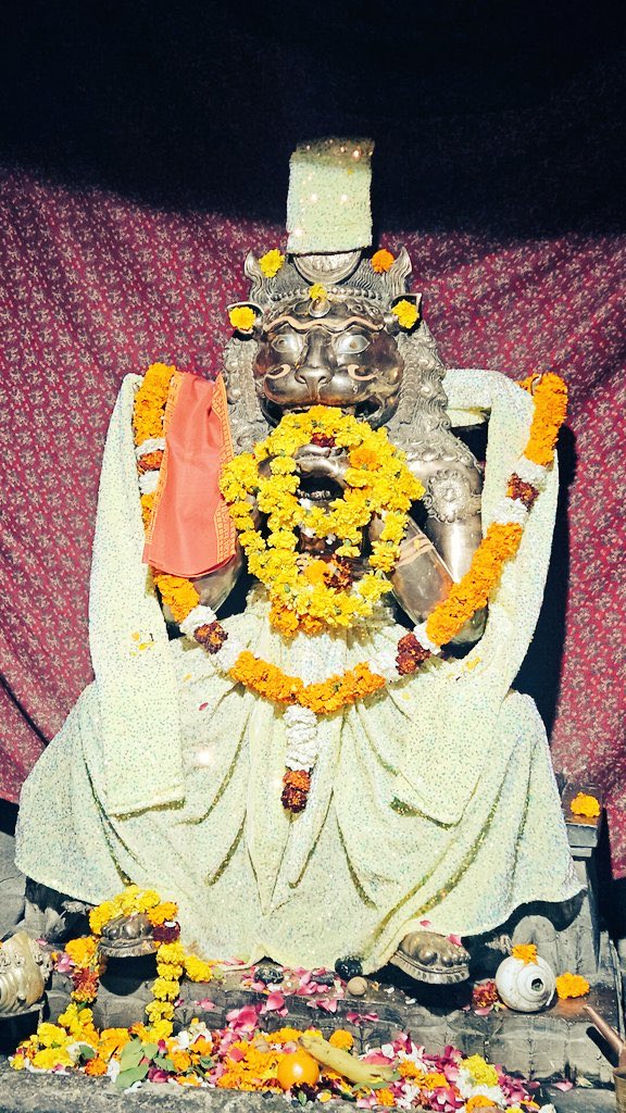 ବାଘଧରା tweet media