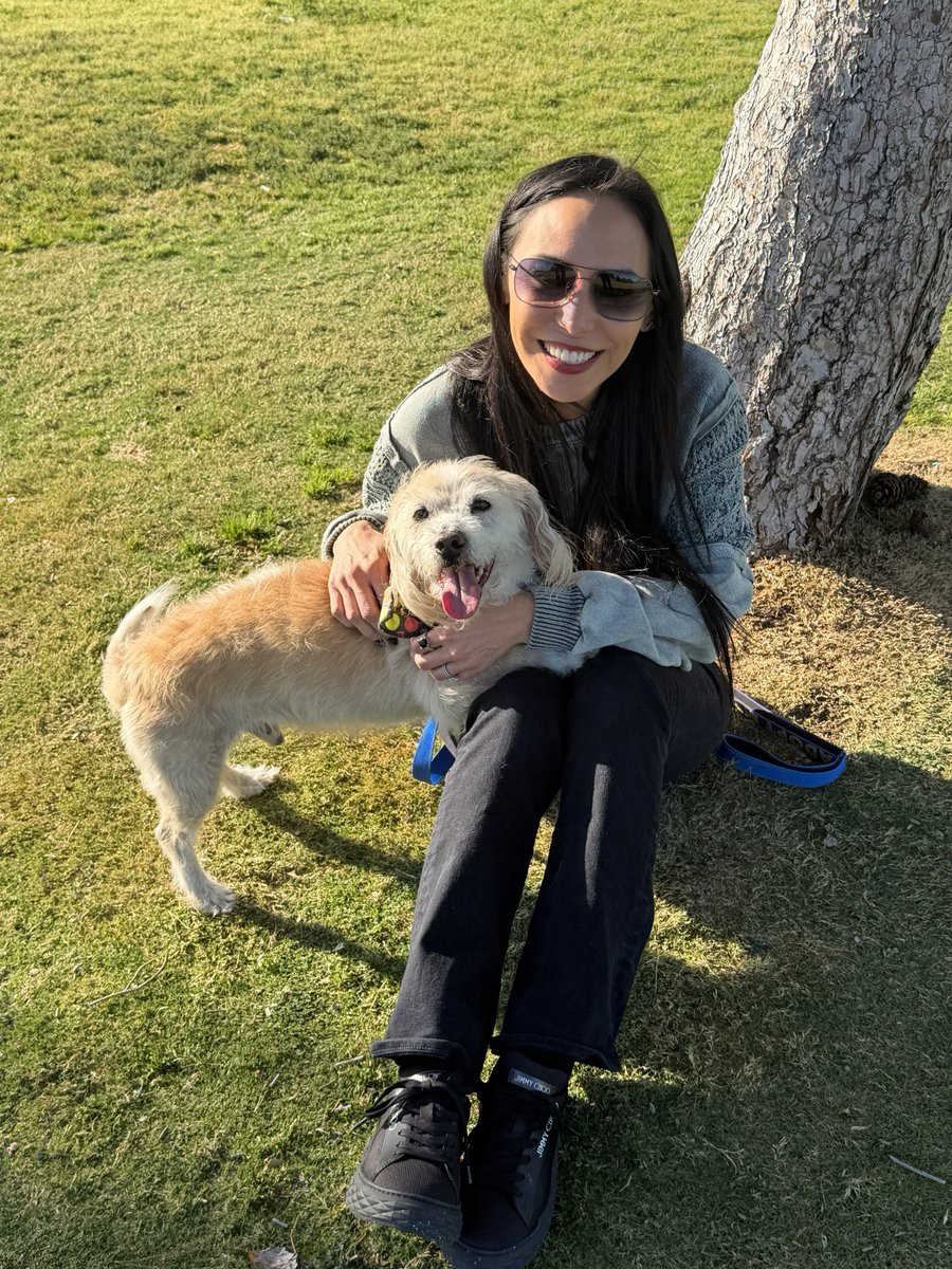 The Animal Foundation tweet media