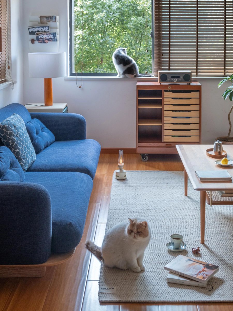 mohamed samir tweet media