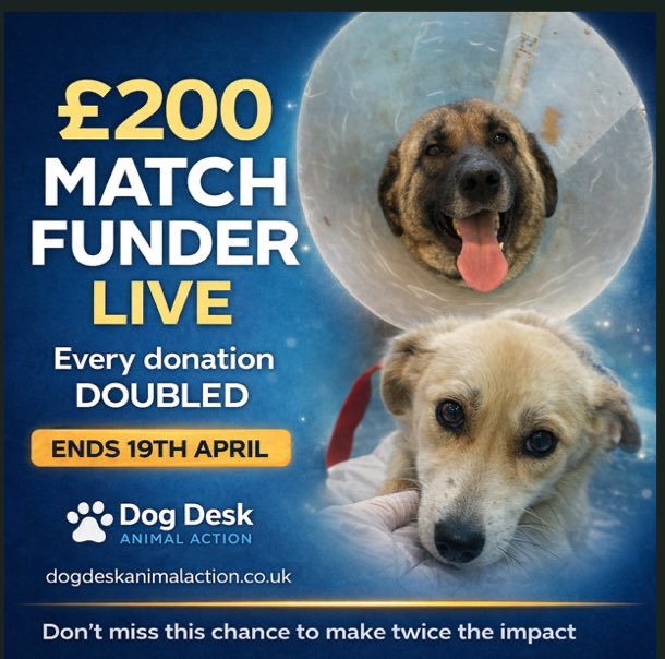 LisaClareRead2's tweet image. Please can you help @DogDeskAction with their fundraiser this month to help fund their veterinary care and food shortfall
Plus they have a £200 match funder until 19th April 2026 ⬇️ 
donorbox.org/medical-food-f…
paypal.com/donate/?hosted…
Thanks
(Ref:April)
 #fundraising #thursdayvibes