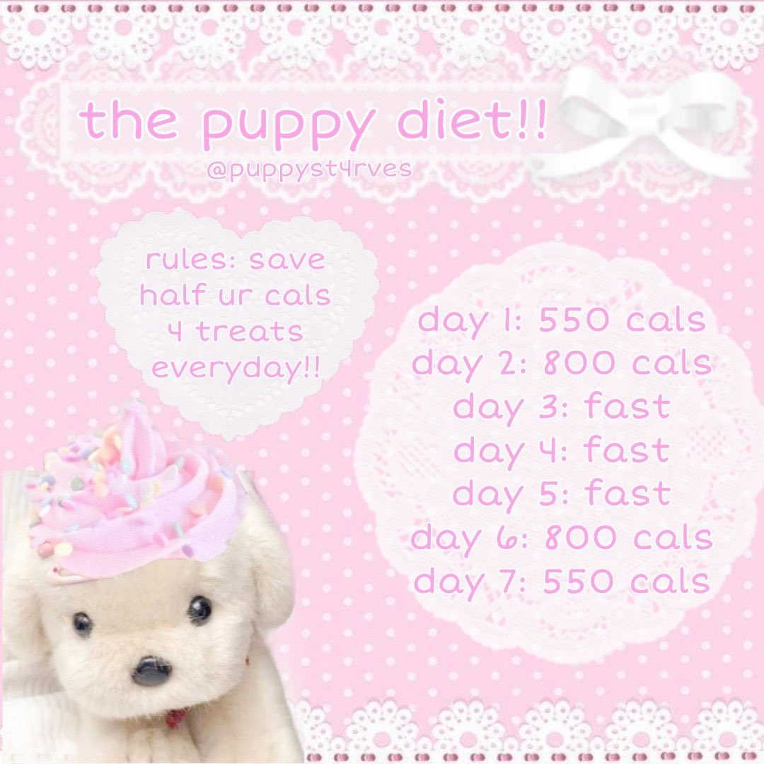 @kitt 🍭🍭 tweet media