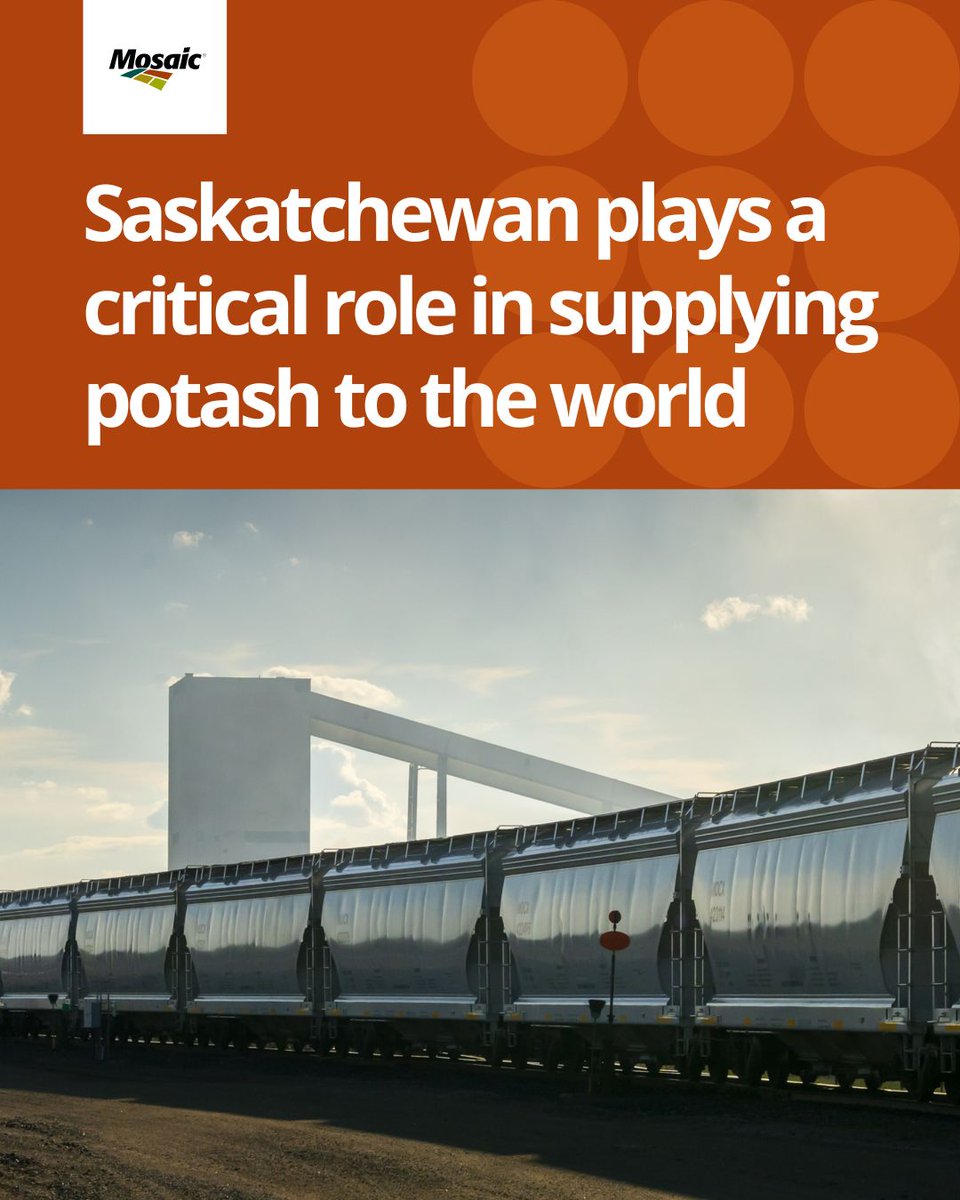 Mosaic-Canada tweet media