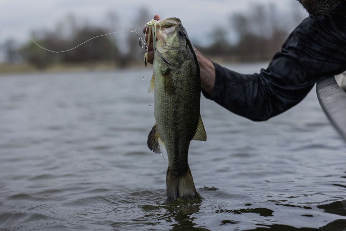 The Select Series spinnerbait, with hand-tied skirts and Mustad hooks, is built to handle the heaviest hitters in the lake. Tie one on and let the blades do the talking. 🎣💥

#buckeye #buckeyelures #select