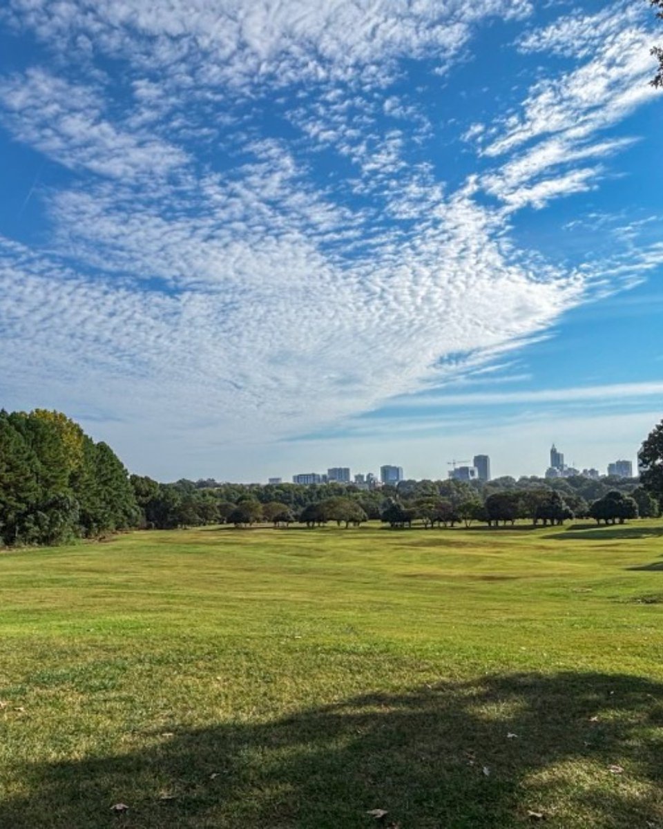 Dix Park tweet media