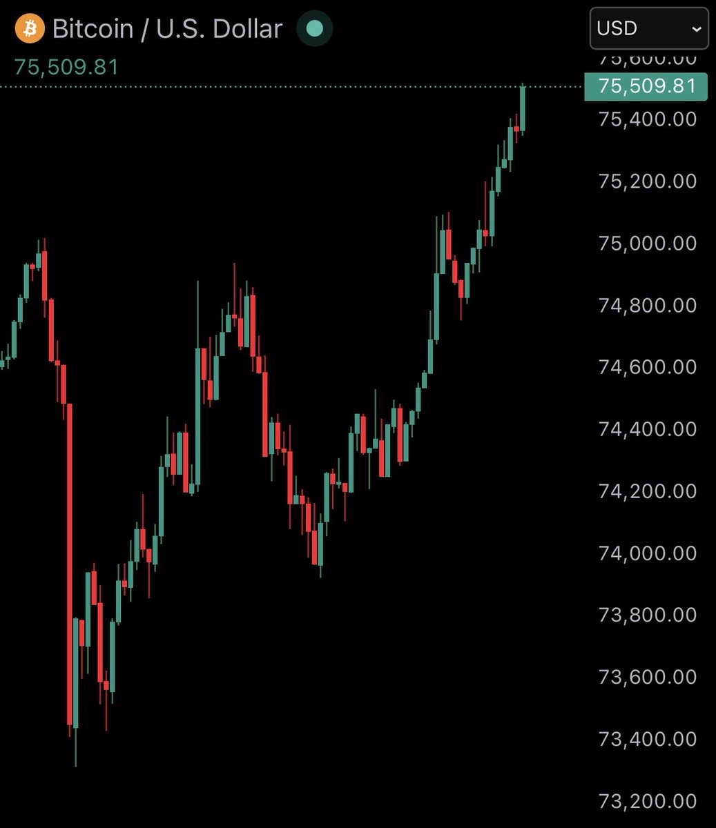 Bitcoin Junkies tweet media