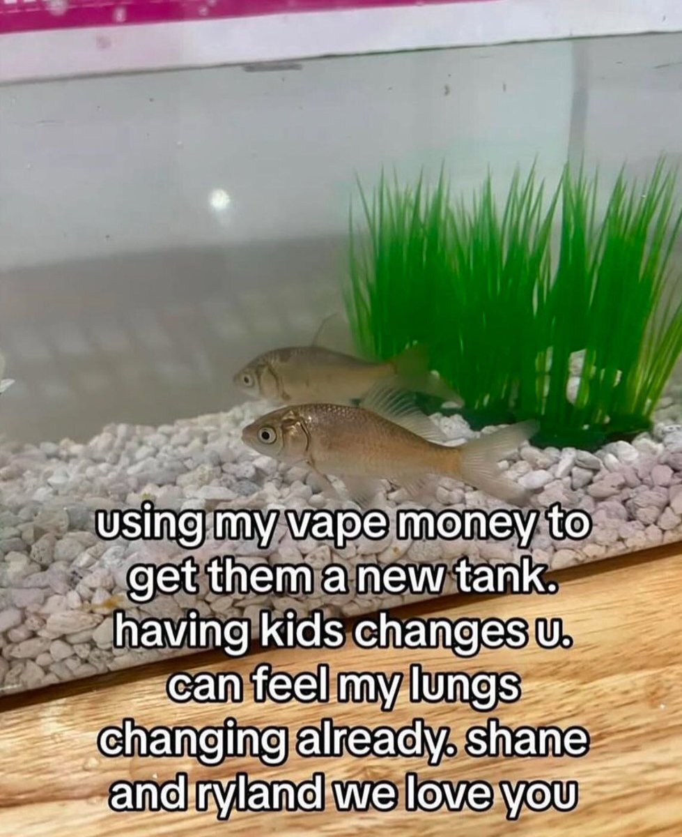 no context memes (@weirddalle) on Twitter photo 