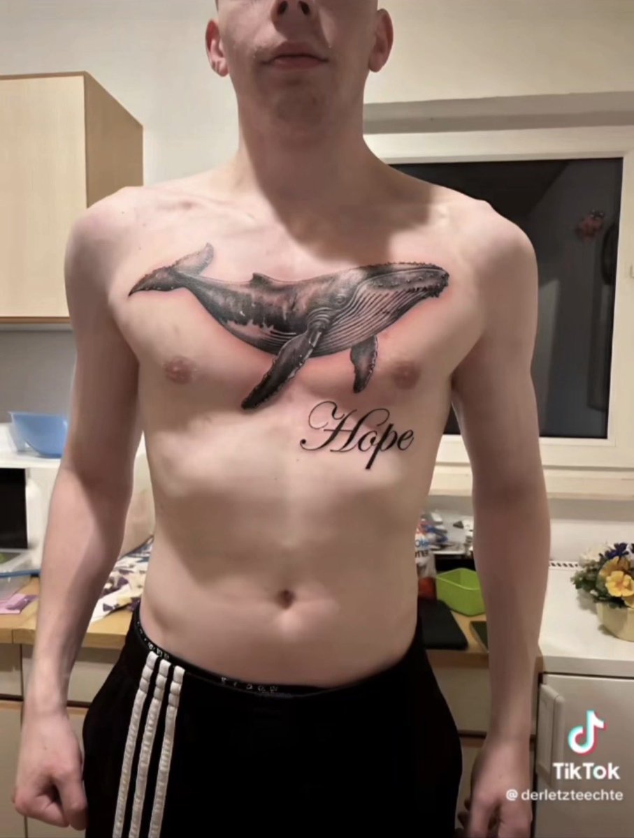 Dampf & Chaos tweet media