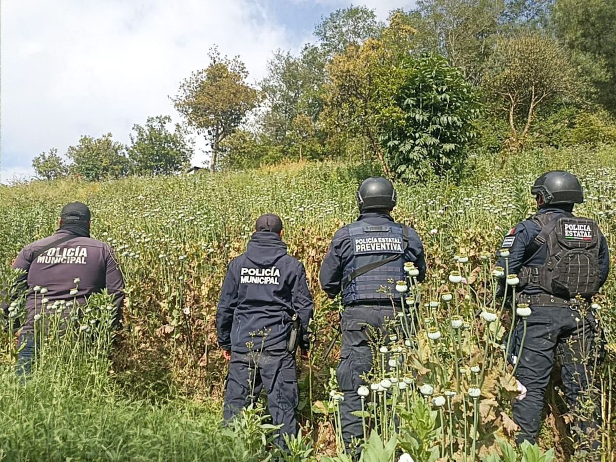 Página Negra tweet media