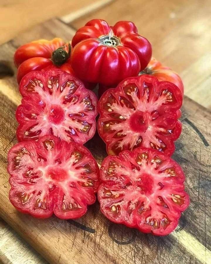etginlik's tweet photo. Kokusu ve tadı bulunan organik domates: https://t.co/TsMFtwCxbn