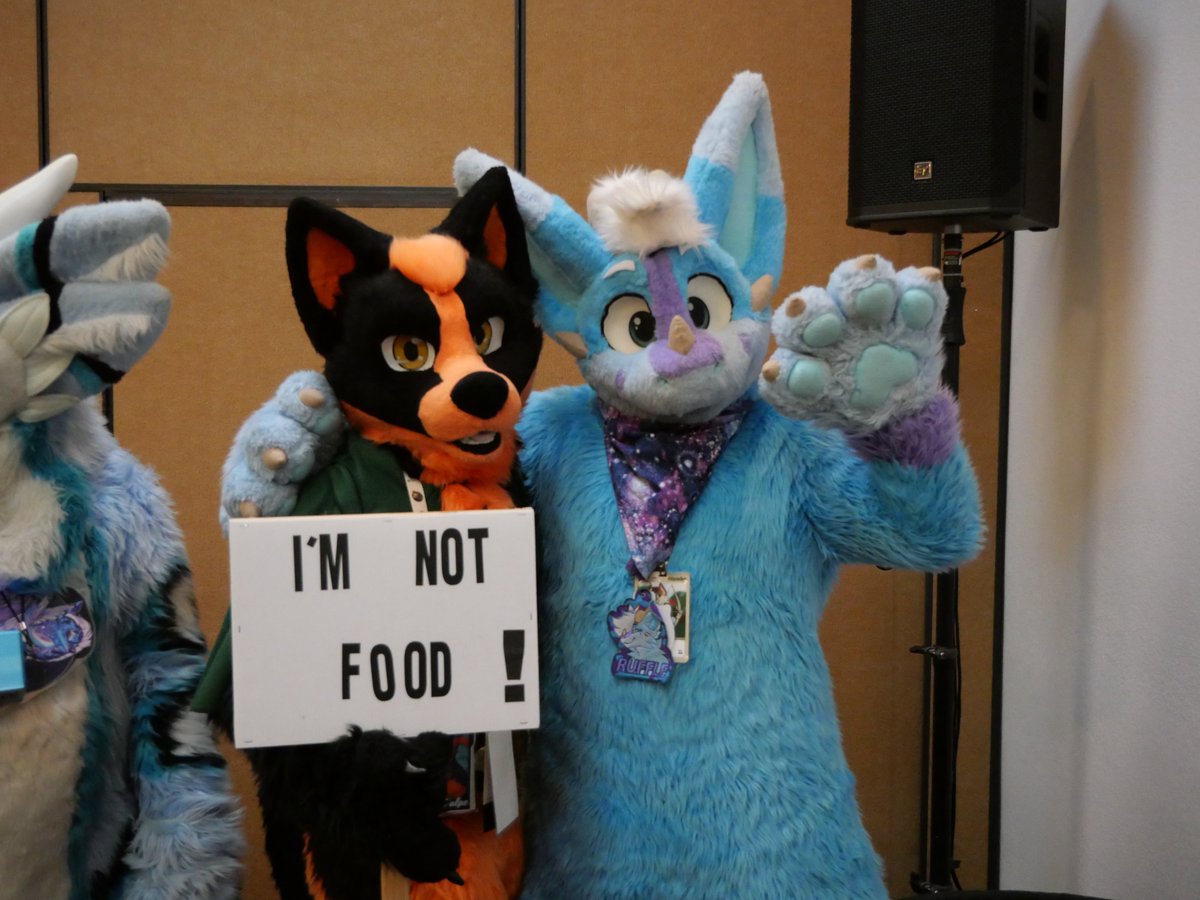 Ruffle 🏢🐾 tweet media