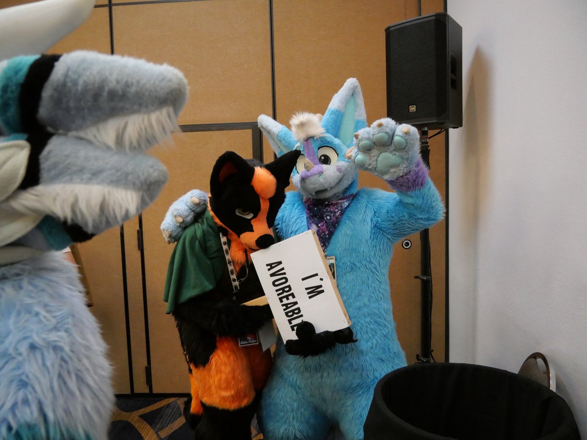 Ruffle 🏢🐾 tweet media