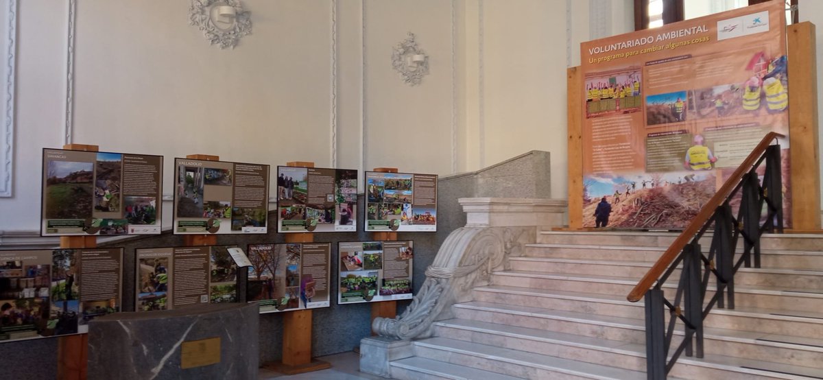 AulaMedAmb's tweet photo. Esta mañana hemos inaugurado en @diputacionPalen la exposición que recoge todas las iniciativas desarrolladas en 2025 en el programa de #VoluntariadoAmbiental 
La muestra puede visitarse hasta el próximo 29/04 https://t.co/P0WH9ukVot