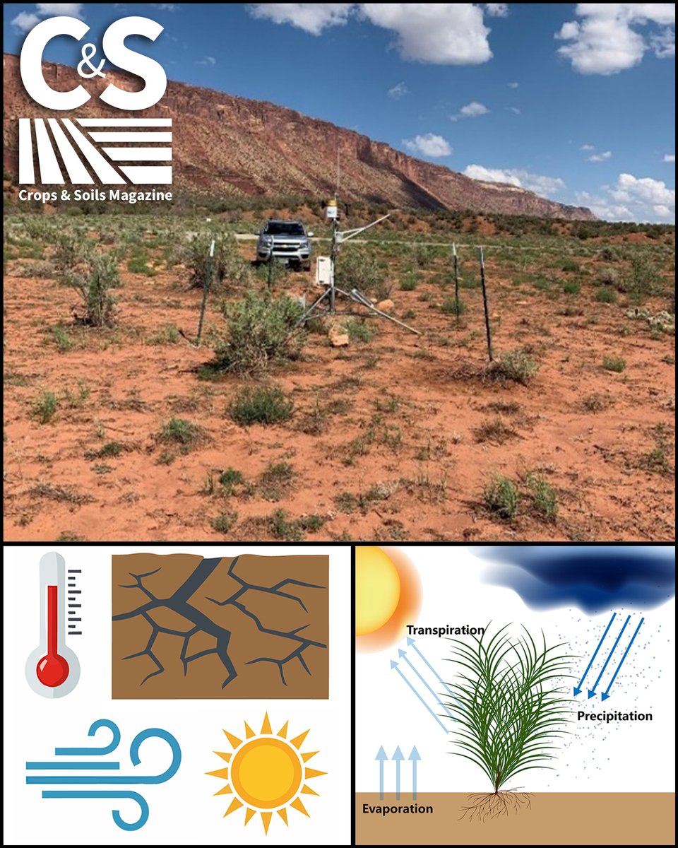 ASA_CSSA_SSSA's tweet photo. Are you using the right ET terms? 💧 Modern water management is moving away from "Potential ET" toward standardized ETref and Kc equations. Clearer terms = more efficient irrigation.
👉 Read & earn 0.5 CEUs: https://t.co/FGddTAK782
#WaterManagement #IrrigationScience https://t.co/VByrs16lPG