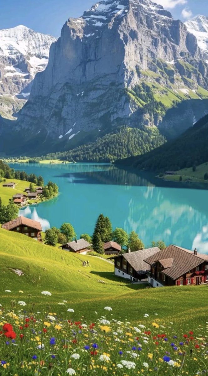 Cëllö🎻 tweet media