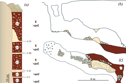 PaleontologieFr's tweet image. 🐝 Dans une grotte de République dominicaine🇩🇴, des #abeilles ont utilisé des os #fossiles comme… nurseries.🦴
Cela révèle un comportement inédit : pondre et réutiliser les mêmes cavités pendant plusieurs générations !

📰doi.org/10.1098/rsos.2…

🔎sciencepost.fr/dans-une-grott…