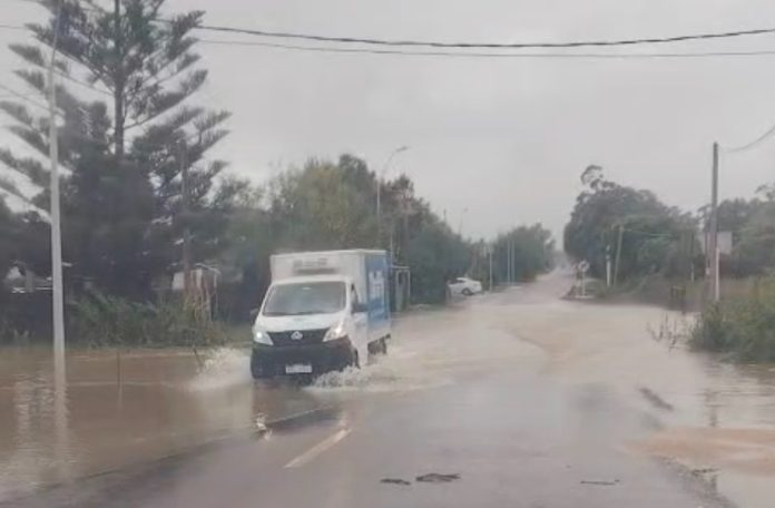 Correo de Punta tweet media