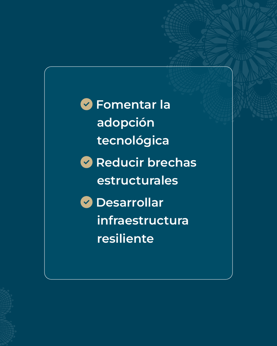 BNF - Oficial tweet media