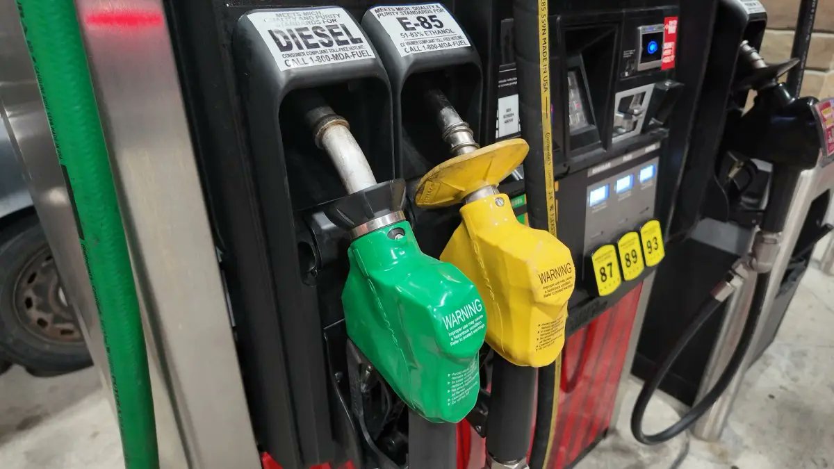 Michigan Enjoyer tweet media