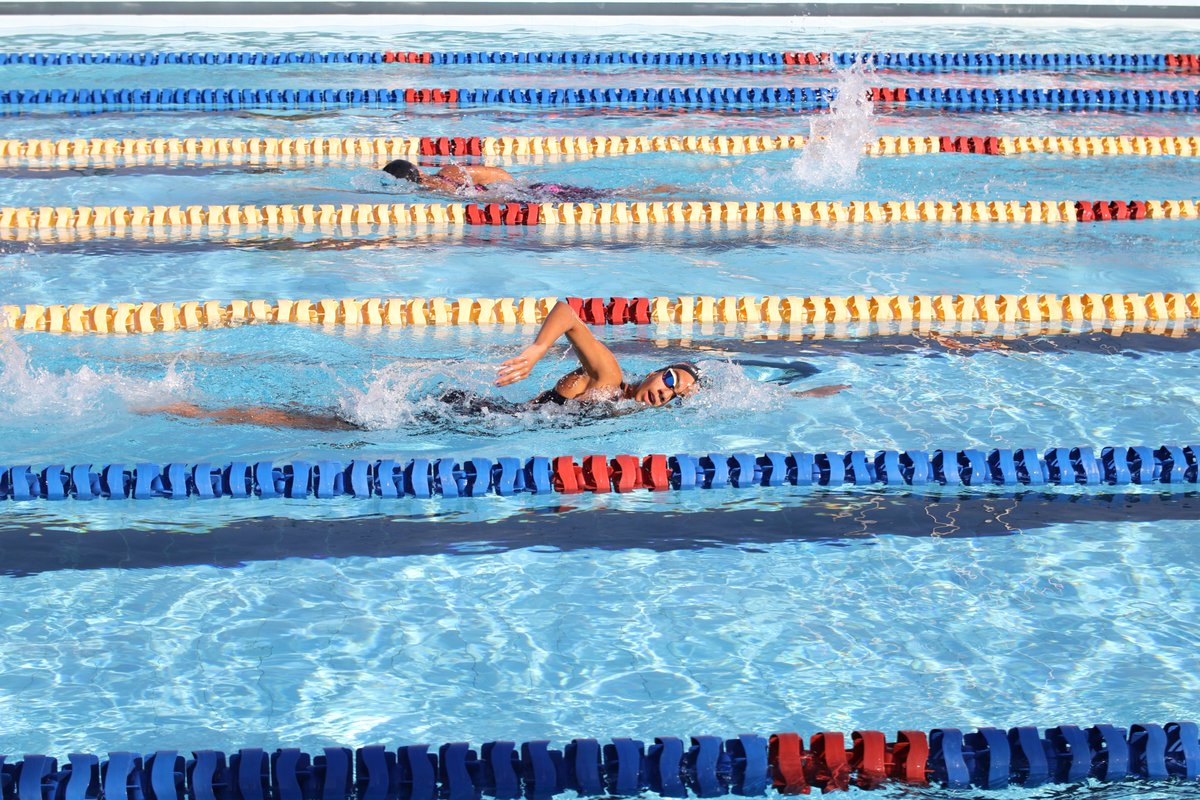 Estudo aponta natação mais eficaz que a corrida no trabalho de fortalecimento do coração

Testes feitos em ratos mostram que atividade na água acelera crescimento saudável do órgão

Confira: esportes.sp.gov.br/sec_esportes/n…

#EsporteSP #SESP #EsporteSP #Natação #Coração