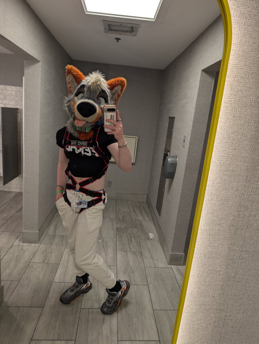 Lucky 🐾 tweet media