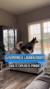 Fernando Vision tweet media