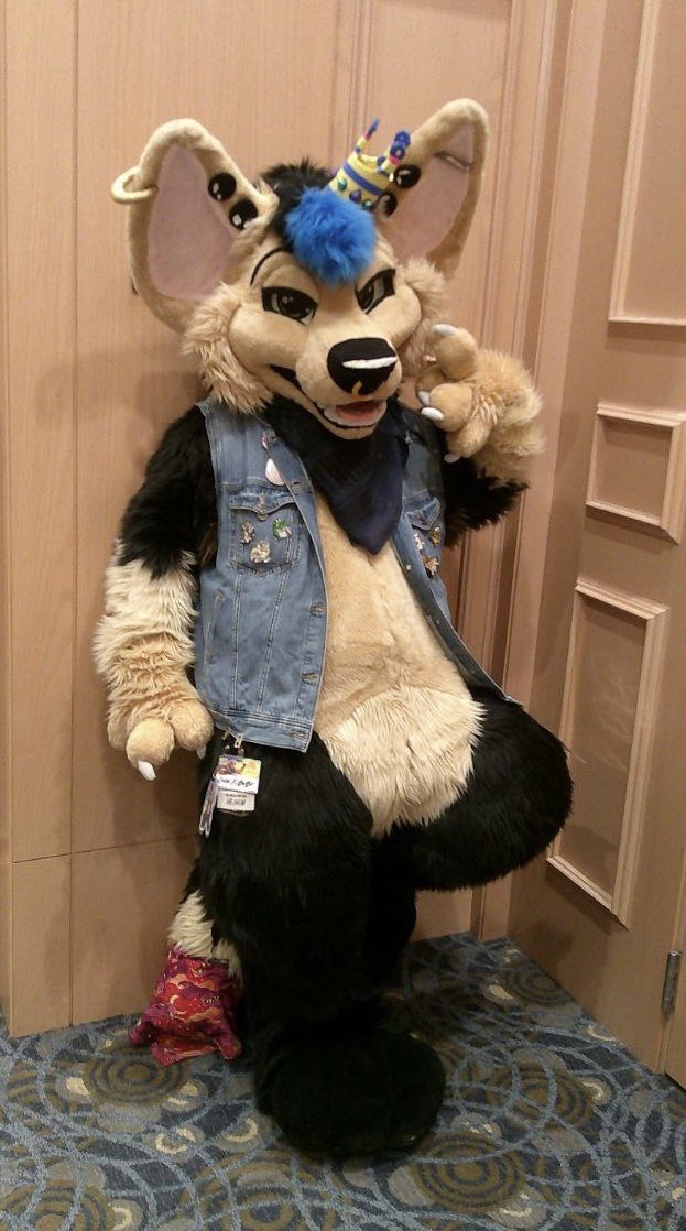 🏳️‍⚧️ Chibi Floof 🏳️‍🌈 🔜 PREY tweet media