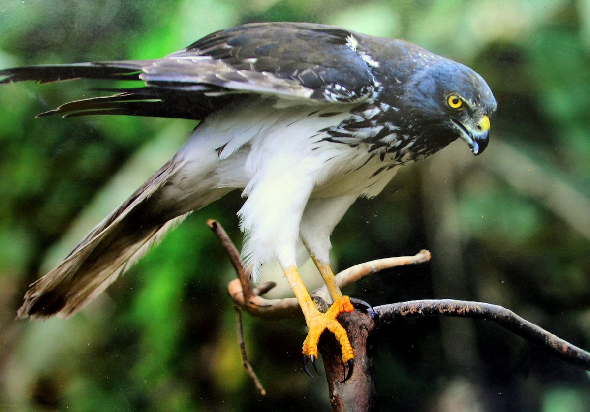 Original_G🏋‍♂️🇷🇪 tweet media