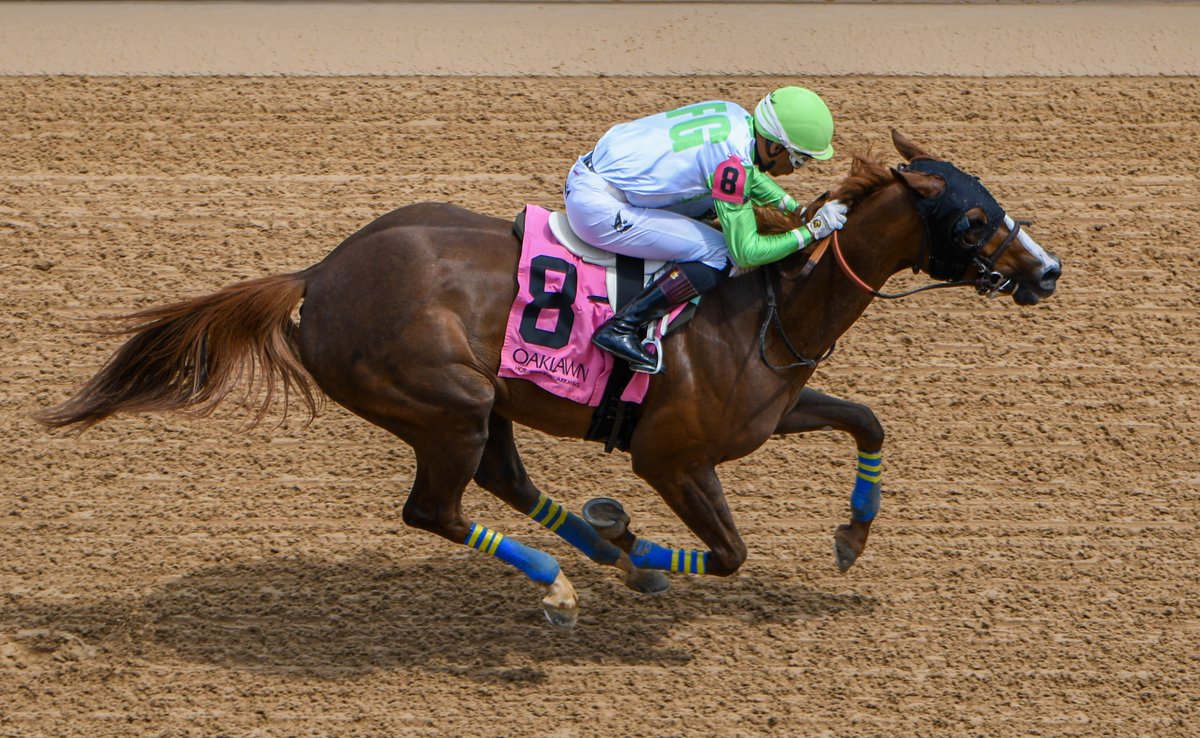 Robert Yates tweet media