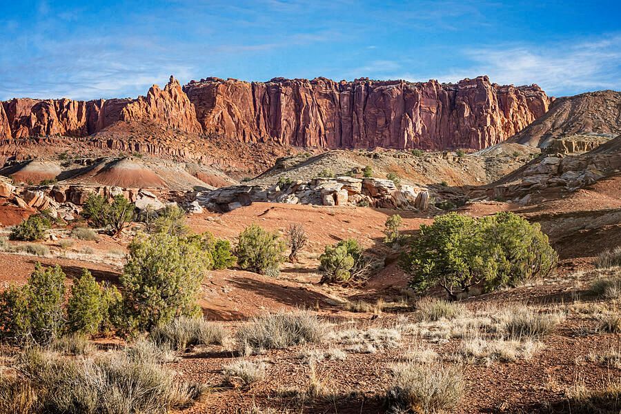 joancarroll's tweet photo. Capitol Reef National Park Utah Landscape! https://t.co/lGZcKBLzmc #capitolreef #nationalpark #landscape #landscapephotography #utah #rocks #rocky #erosion #geology #artistic #shrubs #grasses #artforsale #wallartforsale #giftideas @joancarroll https://t.co/BSQaUo5QbW